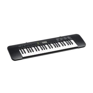 Casio CTK245 – Portable Keyboard with Power Adapter